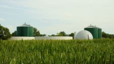 Bioenergy currently accounts for 7.4% of the UK energy mix